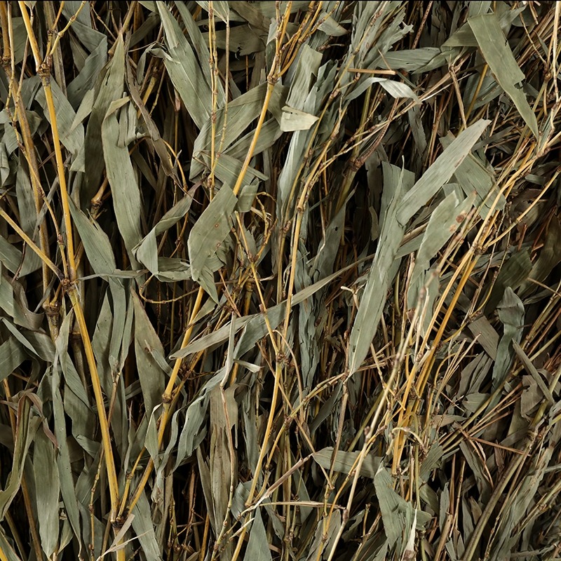 竹枝子掃把竹苗竹葉子竹枝竹子竹條掃把頭竹竹子頭條裝飾擺件手工-細節圖9