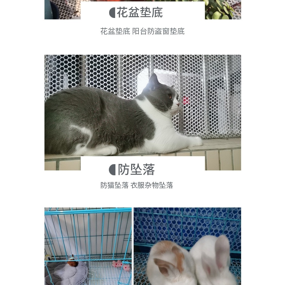 5米陽臺塑料網格墊板貓咪防逃安全陽臺防護欄封閉窗臺防東西網-細節圖9