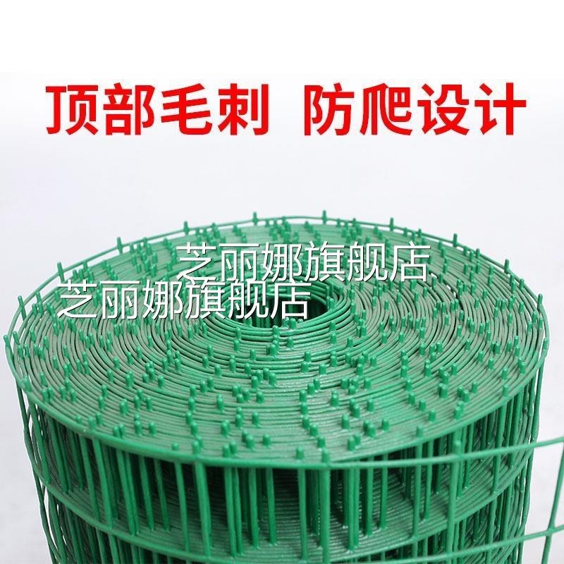 小孔硬塑鐵絲網圍欄網護欄網荷蘭網隔離網圈地養雞網養殖圍網-細節圖8