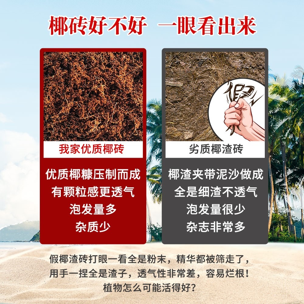 椰磚營養土通用型脫鹽大塊椰磚種菜粗椰殼養花土椰糠土壤清倉包郵-細節圖3