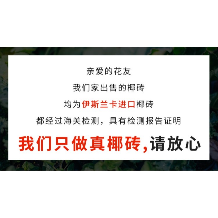 椰磚營養土通用型脫鹽大塊椰磚種菜粗椰殼養花土椰糠土壤清倉包郵-細節圖8