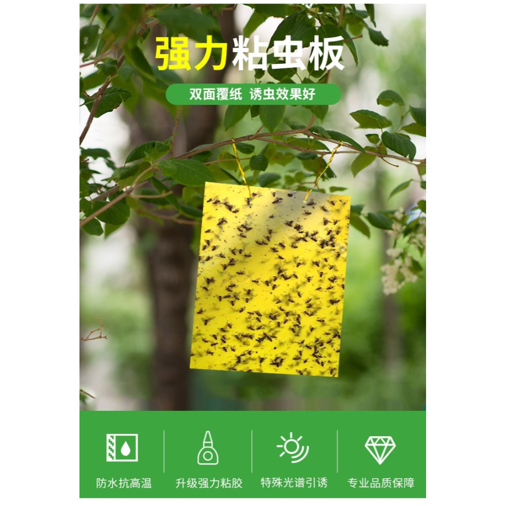 黃板雙面粘蟲板誘蟲板紙貼黃色滅小飛蟲沾果蠅粘板果園薊馬大花棚-細節圖2