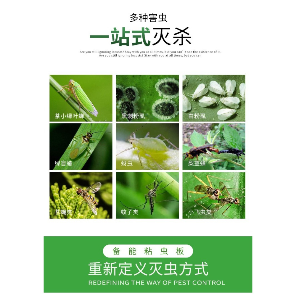 黃板雙面粘蟲板誘蟲板紙貼黃色滅小飛蟲沾果蠅粘板果園薊馬大花棚-細節圖3