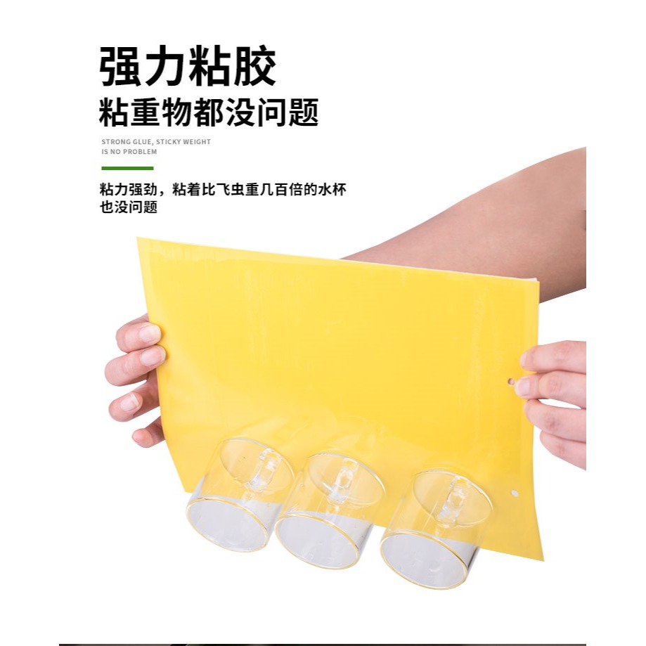 黃板雙面粘蟲板誘蟲板紙貼黃色滅小飛蟲沾果蠅粘板果園薊馬大花棚-細節圖4