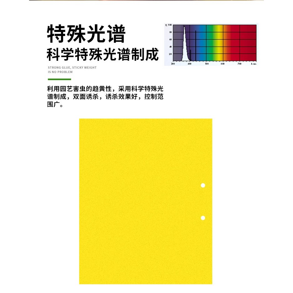 黃板雙面粘蟲板誘蟲板紙貼黃色滅小飛蟲沾果蠅粘板果園薊馬大花棚-細節圖6