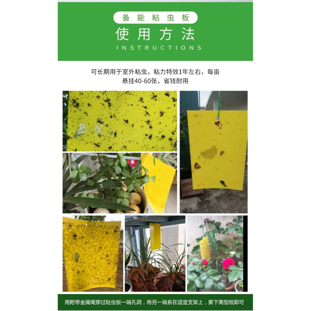 黃板雙面粘蟲板誘蟲板紙貼黃色滅小飛蟲沾果蠅粘板果園薊馬大花棚-細節圖10
