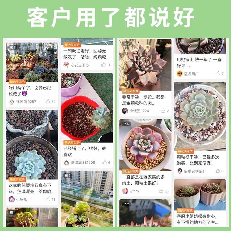 浩銘多肉彩虹石純顆粒土綠沸石火山石麥飯石虹彩石多肉專用鋪面石-細節圖4