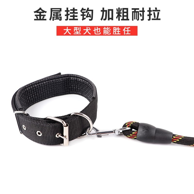 狗套脖貓鏈貓咪項圈過年杜賓專用兔子脖帶項圈雪納瑞母狗頸環-細節圖3