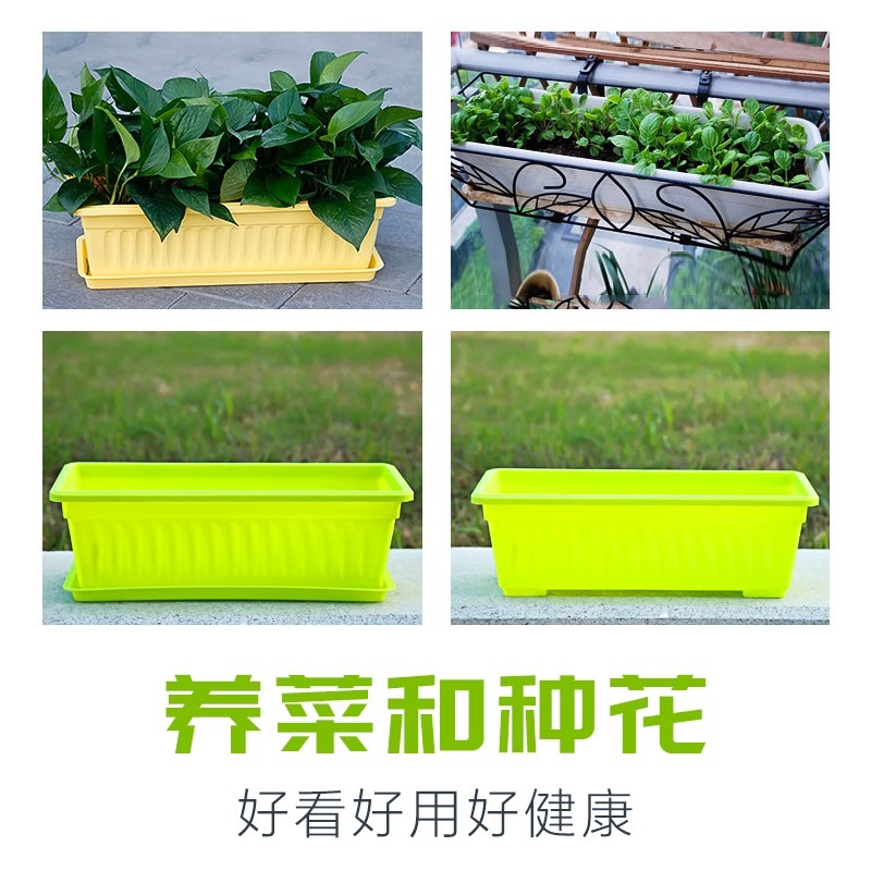 種菜盆陽臺家庭蔬菜長方形特大家庭種菜盆陽臺種菜長條懶人種菜盆-細節圖2