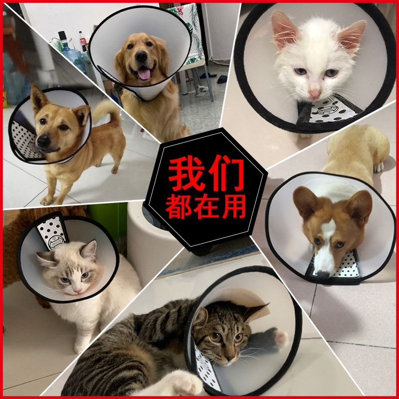 伊麗莎白圈軟布貓狗絕育術後防舔防抓咬狗狗恥辱項圈貓咪頭套脖圈-細節圖5