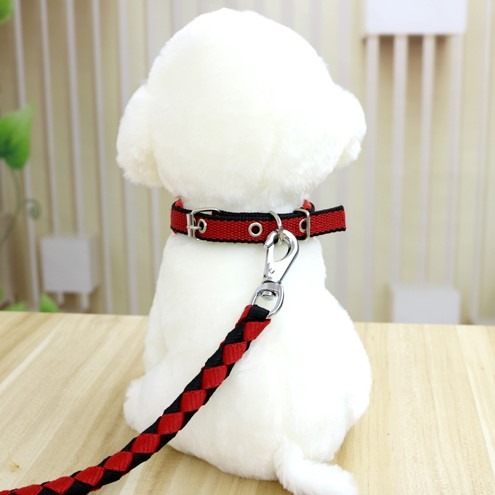 狗狗項圈大型犬泰迪金毛項圈脖套中小型犬頸圈狗圈小狗寵物用品坷-細節圖2