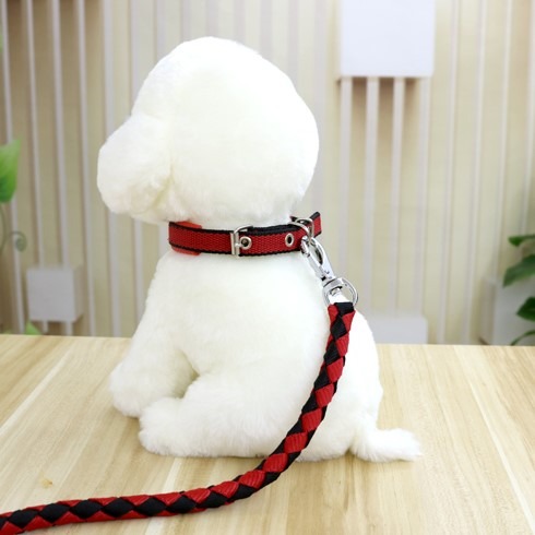 狗狗項圈大型犬泰迪金毛項圈脖套中小型犬頸圈狗圈小狗寵物用品坷-細節圖3