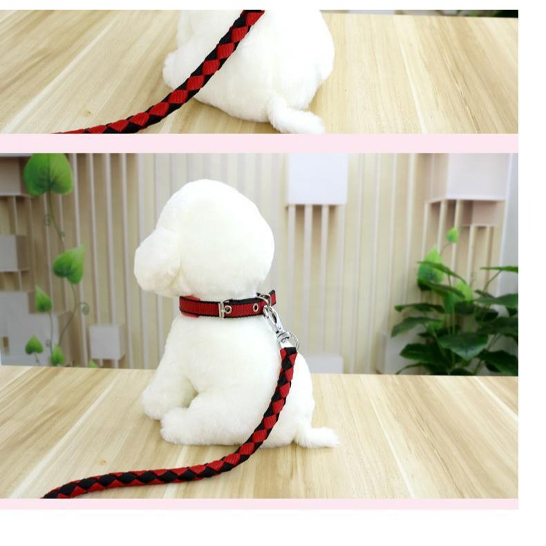 狗狗項圈大型犬泰迪金毛項圈脖套中小型犬頸圈狗圈小狗寵物用品坷-細節圖10