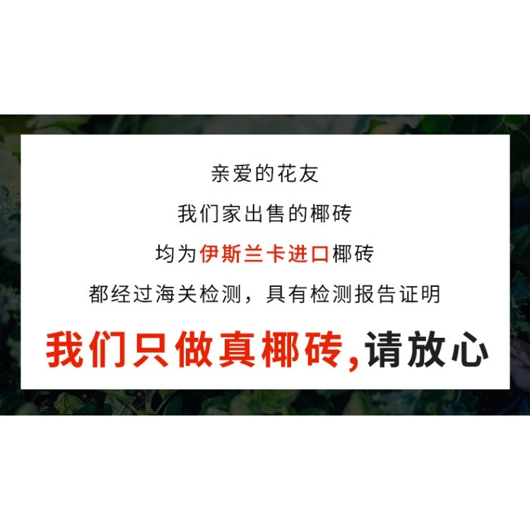 椰磚營養土通用型脫鹽椰磚清倉包郵特價種菜粗椰殼養花土椰糠土壤-細節圖7