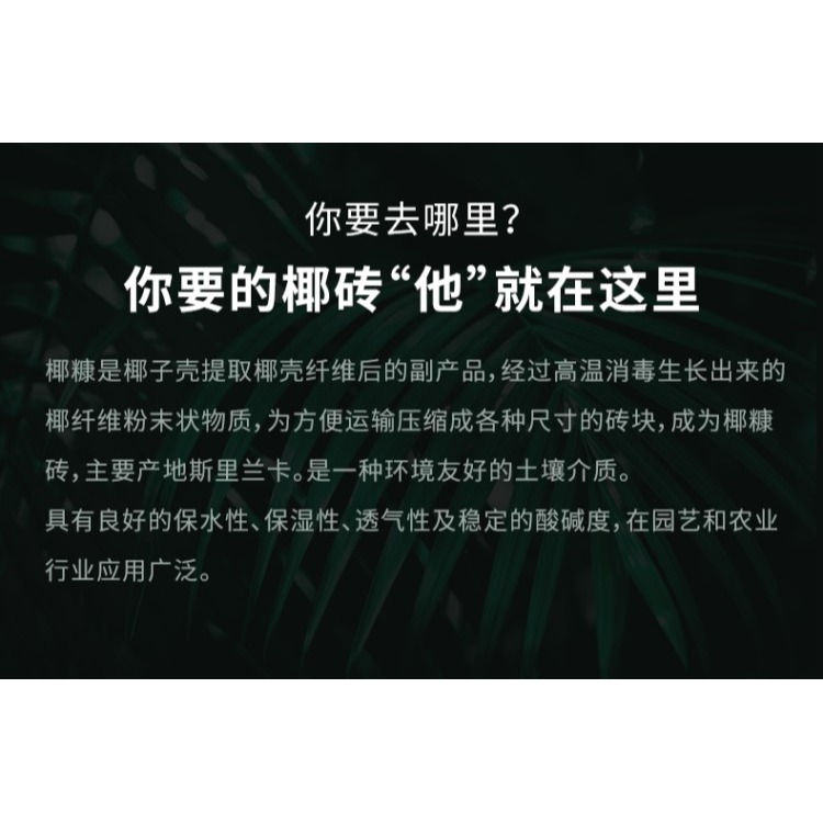椰磚營養土通用型脫鹽椰磚清倉包郵特價種菜粗椰殼養花土椰糠土壤-細節圖10