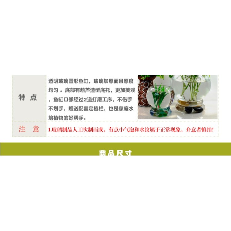 【清倉】水培玻璃加厚花瓶 燈籠造型葫蘆底座創意玻璃花盆 p413-細節圖7