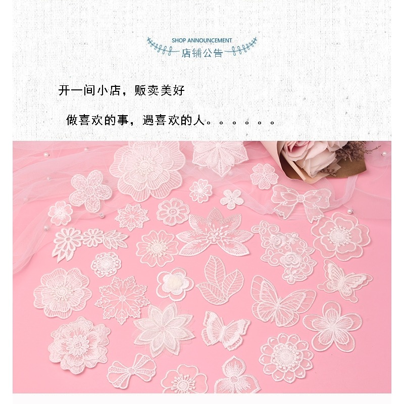 新白色蕾絲補丁貼歐根紗衣服蚊帳裝飾修補破洞刺繡花朵蝴蝶圖案貼-細節圖6