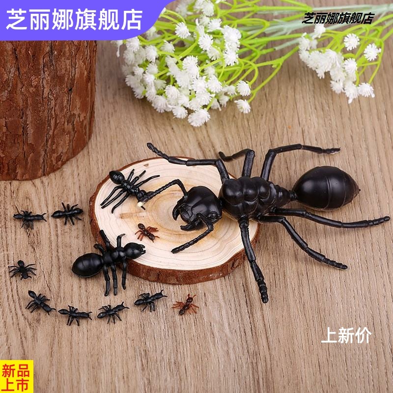 博仿真大小螞蟻昆蟲模型塑膠仿真動物兒童玩具多足大頭螞蟻影視道-細節圖2
