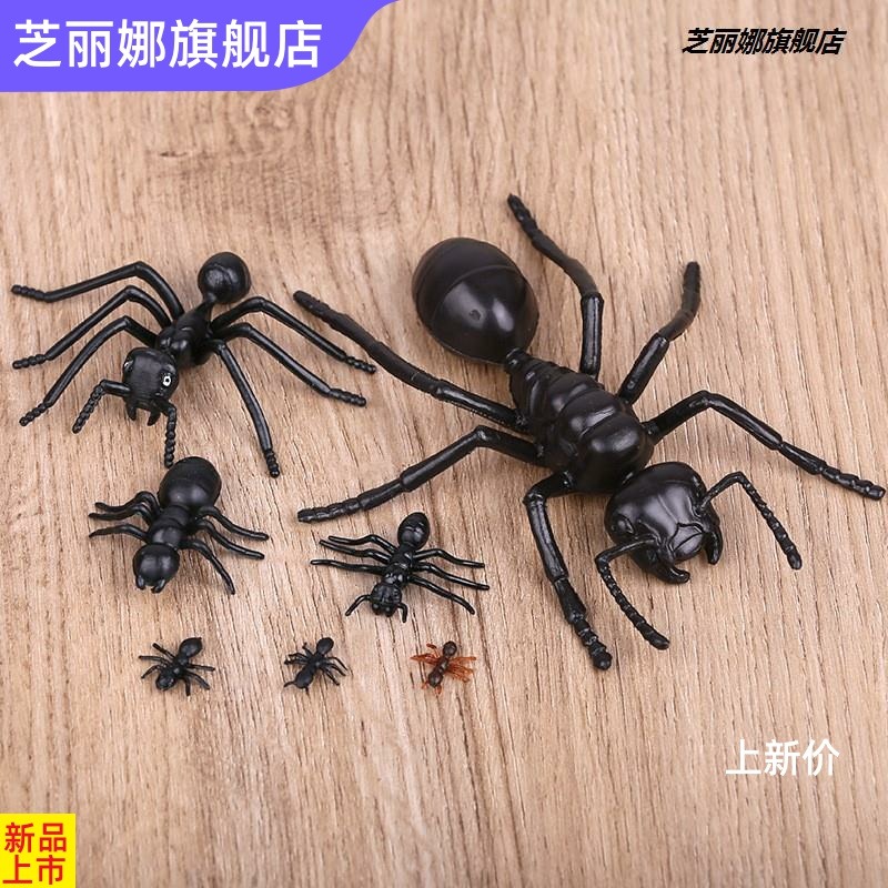 博仿真大小螞蟻昆蟲模型塑膠仿真動物兒童玩具多足大頭螞蟻影視道-細節圖3