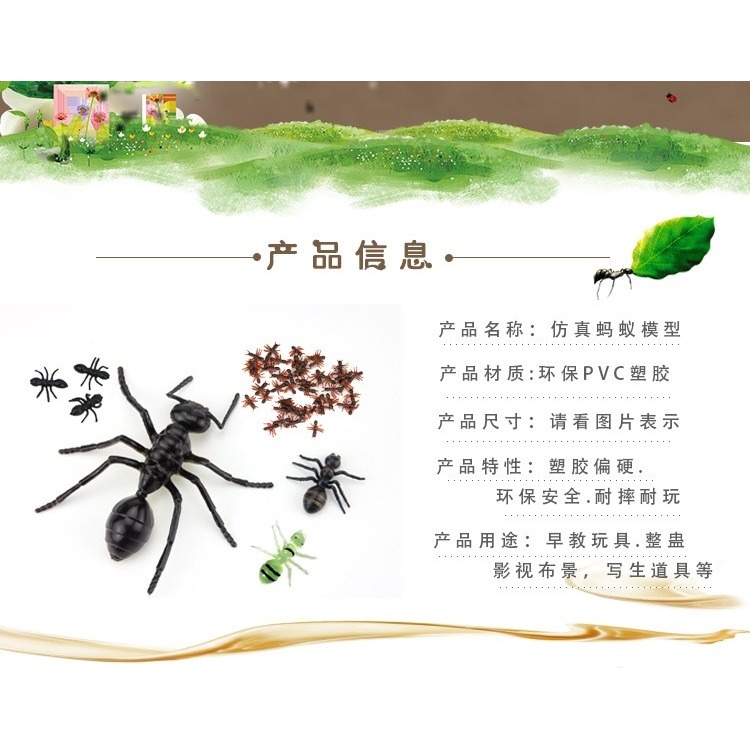 博仿真大小螞蟻昆蟲模型塑膠仿真動物兒童玩具多足大頭螞蟻影視道-細節圖5