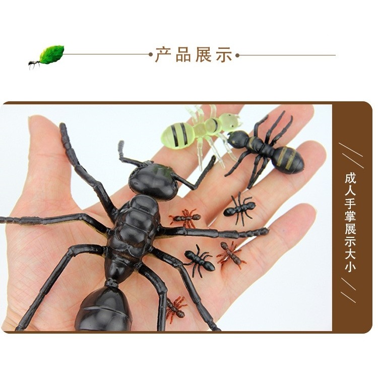 博仿真大小螞蟻昆蟲模型塑膠仿真動物兒童玩具多足大頭螞蟻影視道-細節圖7