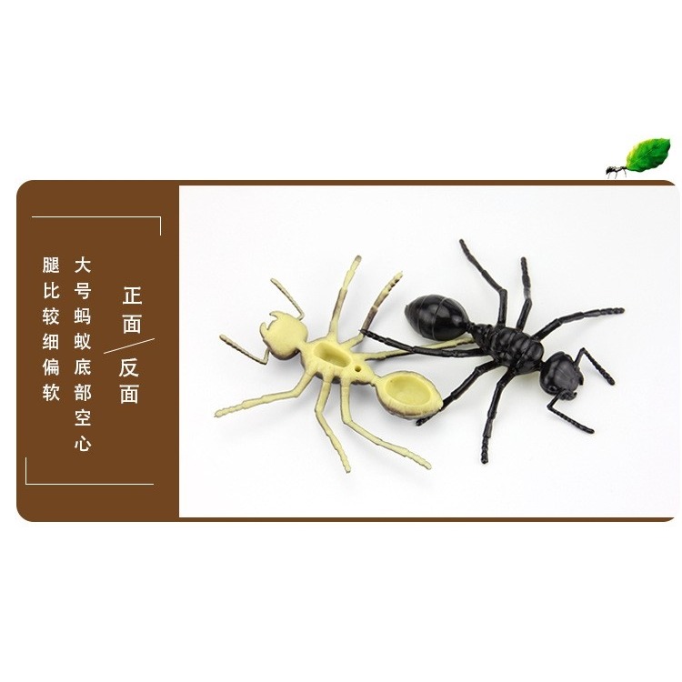 博仿真大小螞蟻昆蟲模型塑膠仿真動物兒童玩具多足大頭螞蟻影視道-細節圖8