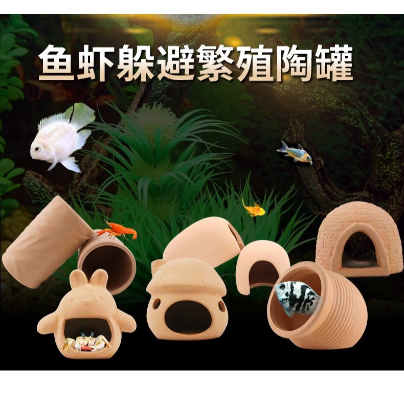 寶藍白金迷你鸚鵡魚產卵繁殖罐鰲蝦窩躲藏短鯛鼠魚下崽陶罐繁殖屋-細節圖6