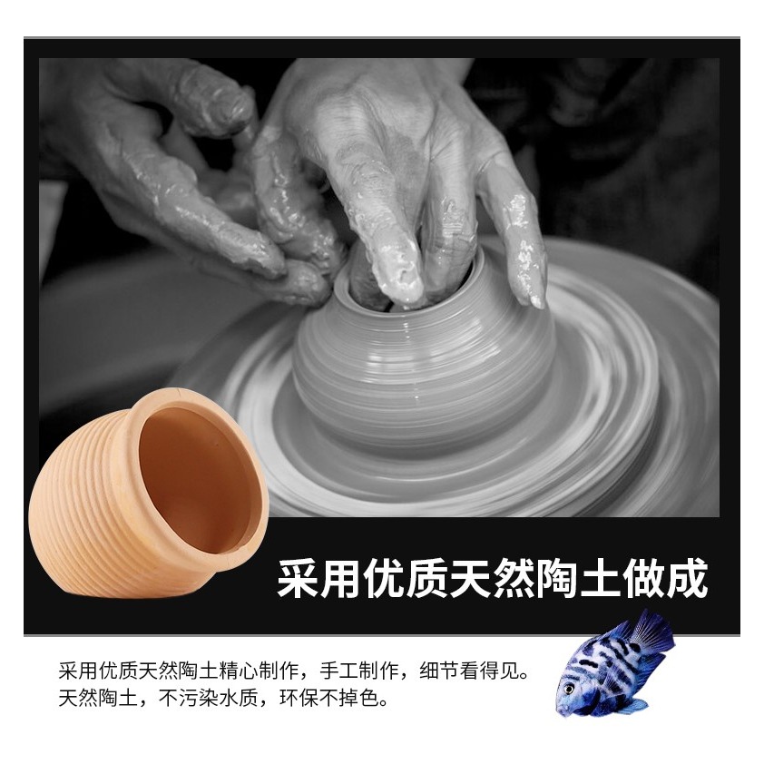 寶藍白金迷你鸚鵡魚產卵繁殖罐鰲蝦窩躲藏短鯛鼠魚下崽陶罐繁殖屋-細節圖8
