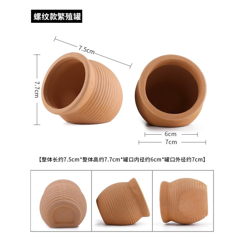 寶藍白金迷你鸚鵡魚產卵繁殖罐鰲蝦窩躲藏短鯛鼠魚下崽陶罐繁殖屋-細節圖10