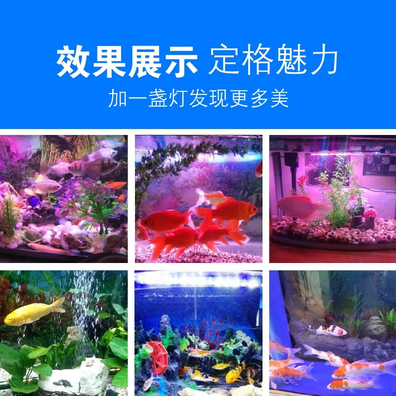 增色節能七彩高亮潛水燈防水燈增艷魚缸燈水草造景led燈觀賞-細節圖3