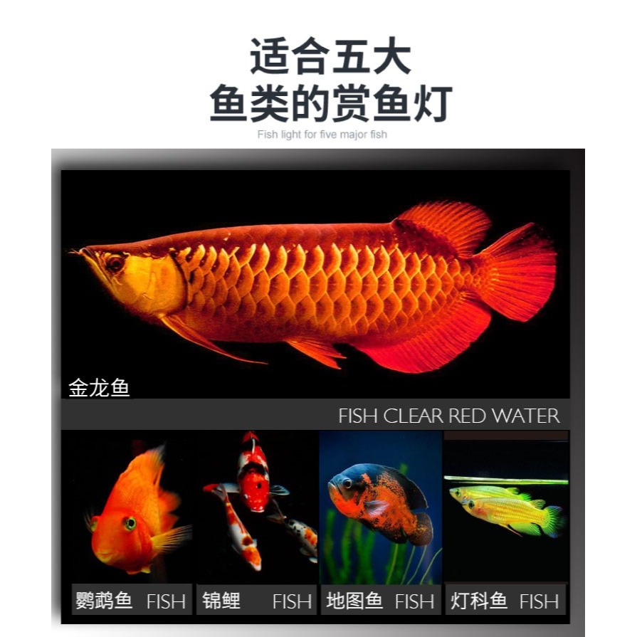 增色節能七彩高亮潛水燈防水燈增艷魚缸燈水草造景led燈觀賞-細節圖9