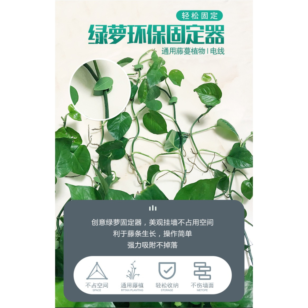 綠蘿固定器爬墻神器綠植掛墻爬藤壁掛墻上專用掛鉤墻面卡扣吸盤架-細節圖6