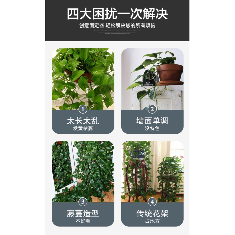 綠蘿固定器爬墻神器綠植掛墻爬藤壁掛墻上專用掛鉤墻面卡扣吸盤架-細節圖7