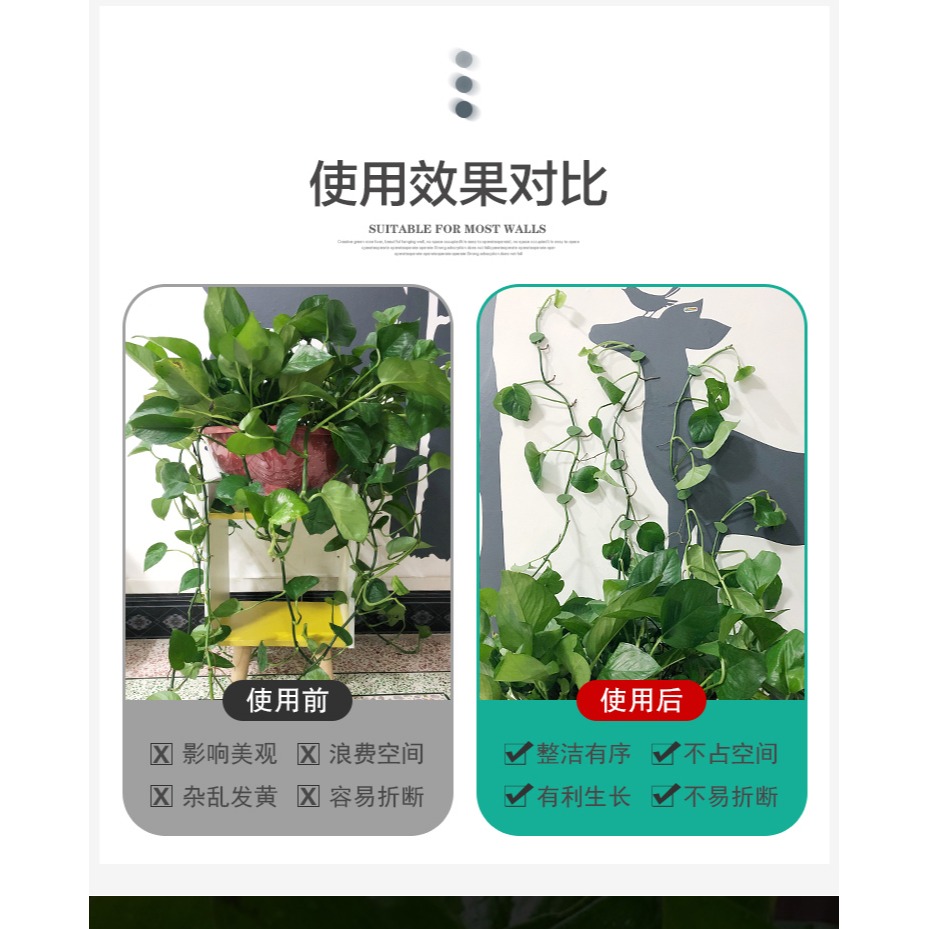 綠蘿固定器爬墻神器綠植掛墻爬藤壁掛墻上專用掛鉤墻面卡扣吸盤架-細節圖8