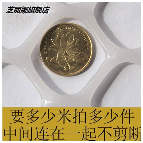 塑料養殖網養雞育雛腳墊漏糞平網片小孔整卷養蜂網陽臺圍欄防護網-細節圖9