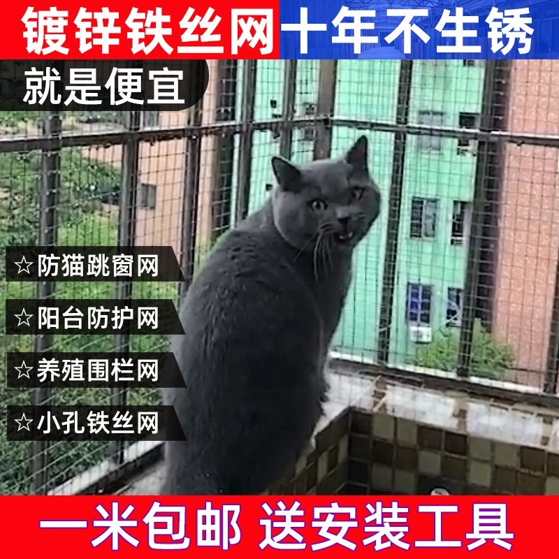 鐵絲網圍欄養殖熱鍍鋅電焊網片網格陽臺鋼絲防護欄網防鼠小孔鐵網-細節圖3
