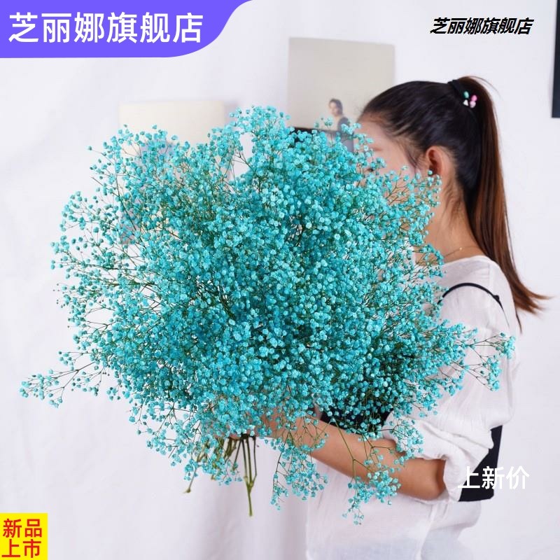 滿天星乾花花束客廳擺設輕奢乾花擺件真花裝飾擺件鮮自然風幹雲南-細節圖2