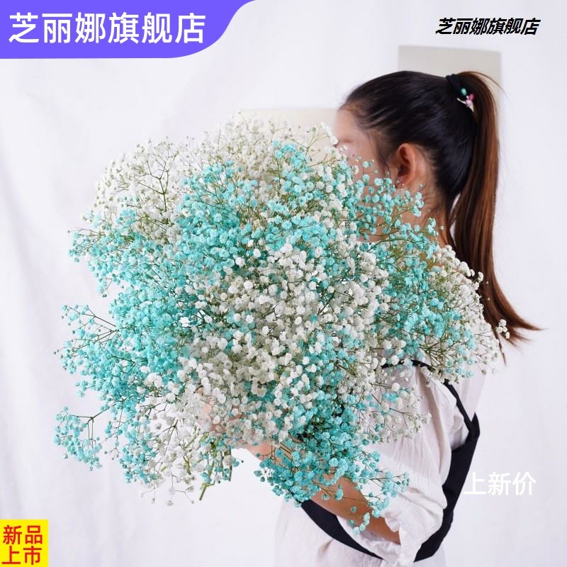 滿天星乾花花束客廳擺設輕奢乾花擺件真花裝飾擺件鮮自然風幹雲南-細節圖3