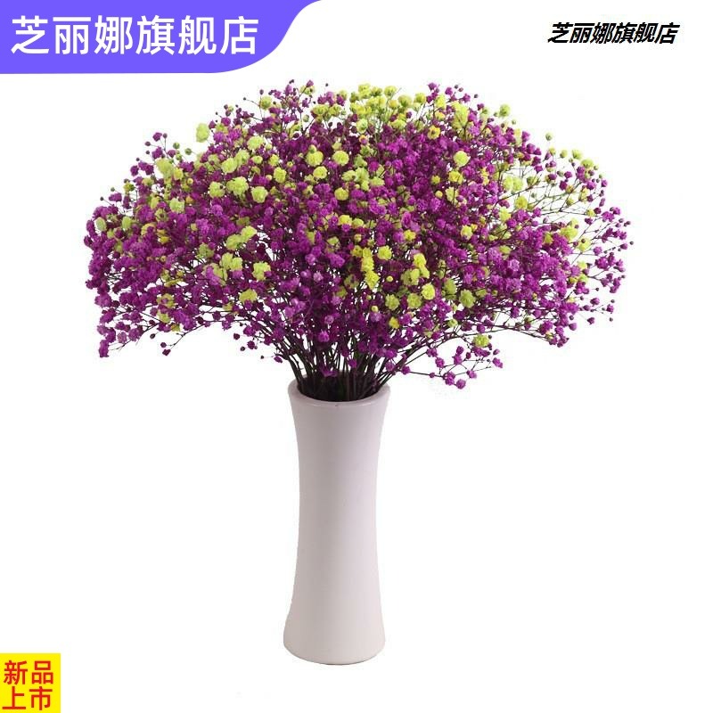 滿天星乾花花束客廳擺設輕奢乾花擺件真花裝飾擺件鮮自然風幹雲南-細節圖4