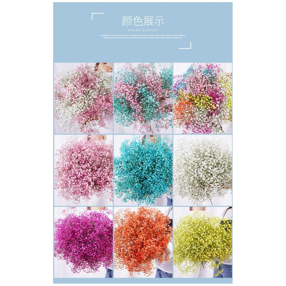 滿天星乾花花束客廳擺設輕奢乾花擺件真花裝飾擺件鮮自然風幹雲南-細節圖6
