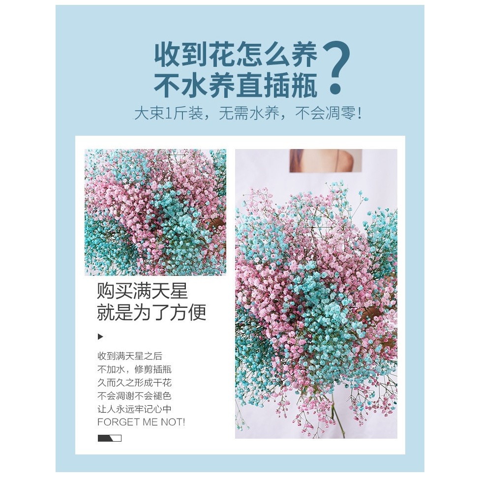 滿天星乾花花束客廳擺設輕奢乾花擺件真花裝飾擺件鮮自然風幹雲南-細節圖8