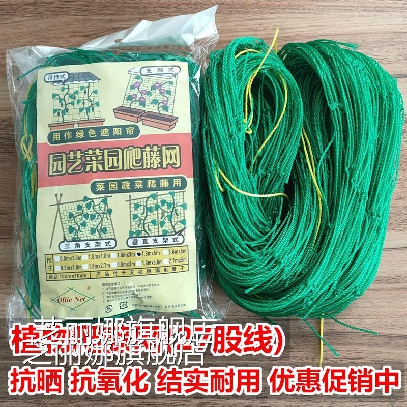 爬藤網花卉綠蘿藤蔓植物攀爬網搭架網百香果蔬菜爬藤架園藝種植網-細節圖4