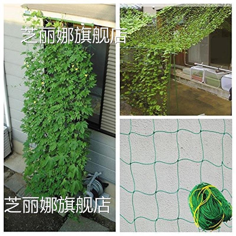 爬藤網花卉綠蘿藤蔓植物攀爬網搭架網百香果蔬菜爬藤架園藝種植網-細節圖5