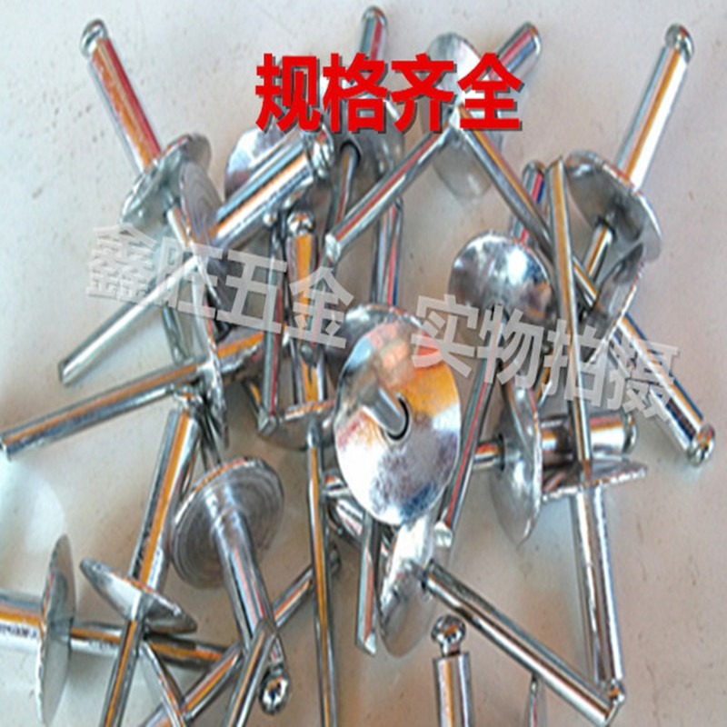 大帽沿抽芯鉚釘大扁頭鉚釘鋁合金拉鉚釘大頭鋁制鉚釘32m4m5m-細節圖2
