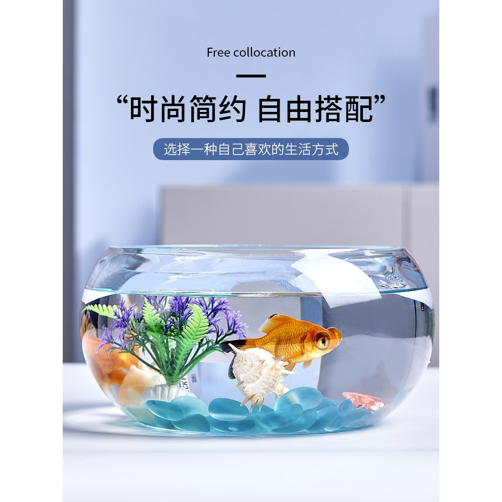 辦公室小魚缸加厚透明玻璃烏龜缸客廳家用桌面圓形迷你小型金魚缸-細節圖2