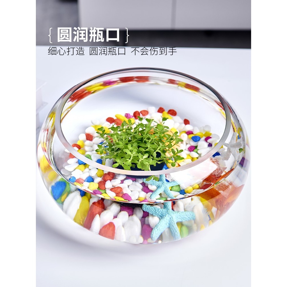 辦公室小魚缸加厚透明玻璃烏龜缸客廳家用桌面圓形迷你小型金魚缸-細節圖3