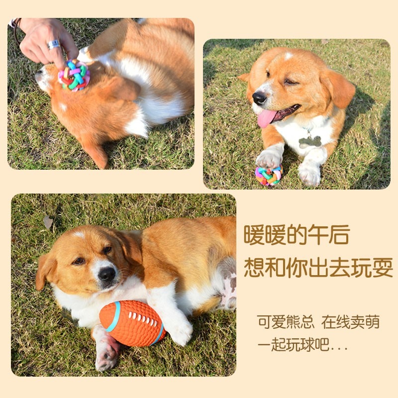 發聲狗狗磨牙玩具橄欖球幼犬耐咬狗玩具球幼狗泰迪金毛柯基小狗球-細節圖5