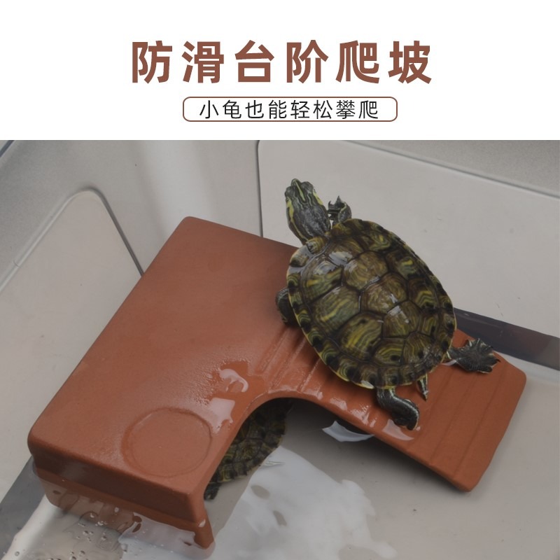 烏龜曬背臺倉鼠守宮角蛙魚躲避洞爬寵曬臺爬蟲躲避屋天然紫砂曬臺-細節圖3