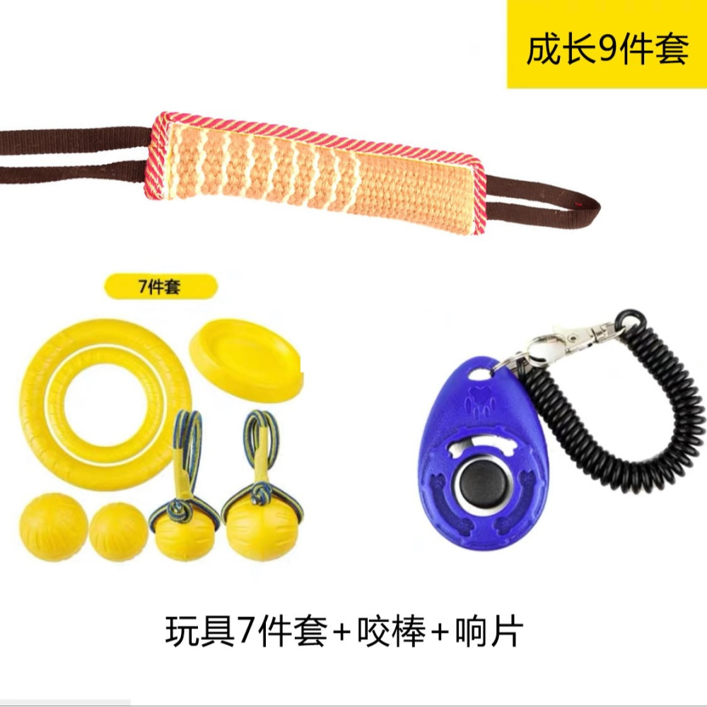 訓犬訓犬用品裝備馬犬訓練用品狗狗玩具球大型犬飛盤拉環響片-細節圖5