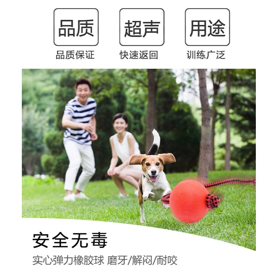 訓犬訓犬用品裝備馬犬訓練用品狗狗玩具球大型犬飛盤拉環響片-細節圖9